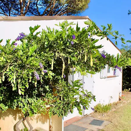 Provencale, Golfe Saint Tropez, Climatisee 12 Pers, 4 Suites, Piscine Chauffee, Hammam, Spa, Billard, Petanque, Wifi Professionnel Debit *