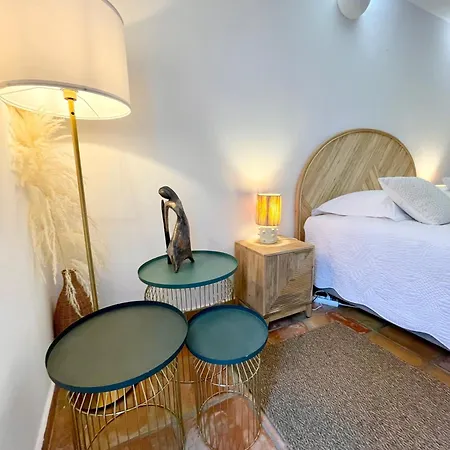 Provencale Golfe St Tropez Climatisee Piscine Chauffee, Spa, Billard, Wifi Debit Pro Gassin