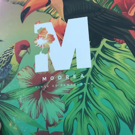 Provencale, Golfe Saint Tropez, Climatisee 12 Pers, 4 Suites, Piscine Chauffee, Hammam, Spa, Billard, Petanque, Wifi Professionnel Debit