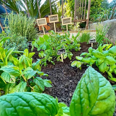 Provencale, Golfe Saint Tropez, Climatisee 12 Pers, 4 Suites, Piscine Chauffee, Hammam, Spa, Billard, Petanque, Wifi Professionnel Debit ガッサン