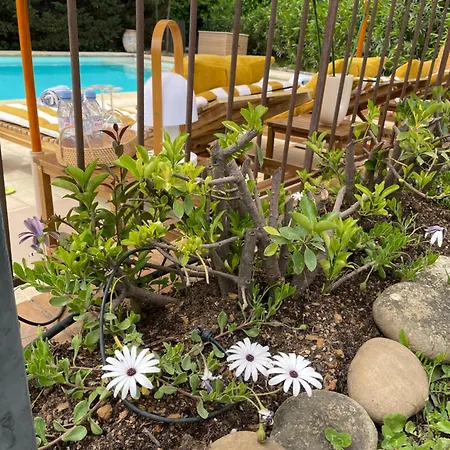 Provencale Golfe St Tropez Climatisee Piscine Chauffee, Spa, Billard, Wifi Debit Pro فيلة