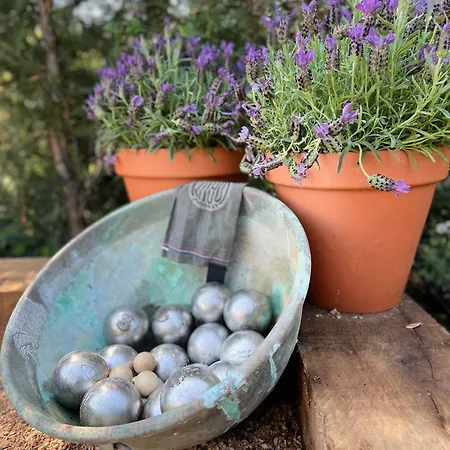 Provencale, Golfe Saint Tropez, Climatisee 12 Pers, 4 Suites, Piscine Chauffee, Hammam, Spa, Billard, Petanque, Wifi Professionnel Debit