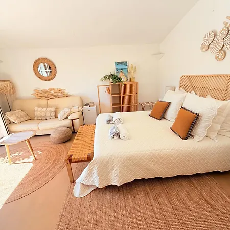 Climatisee, Golfe Saint Tropez, 12 Pers, 4 Suites, Piscine Chauffee, Hammam, Spa, Billard, Petanque, Wifi Professionnel Debit فيلة جاسّا
