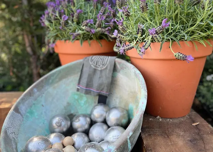 Provencale, Golfe Saint Tropez, Climatisee 12 Pers, 4 Suites, Piscine Chauffee, Hammam, Spa, Billard, Petanque, Wifi Professionnel Debit