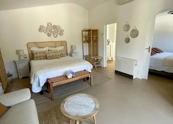 Villa Provencale, Golfe Saint Tropez, Climatisee 12 Pers, 4 Suites, Piscine Chauffee, Hammam, Spa, Billard, Petanque, Wifi Professionnel Debit